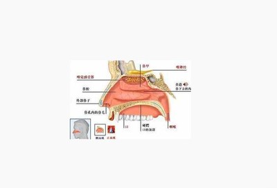 小儿鼻炎（儿童鼻炎）的症状及治疗